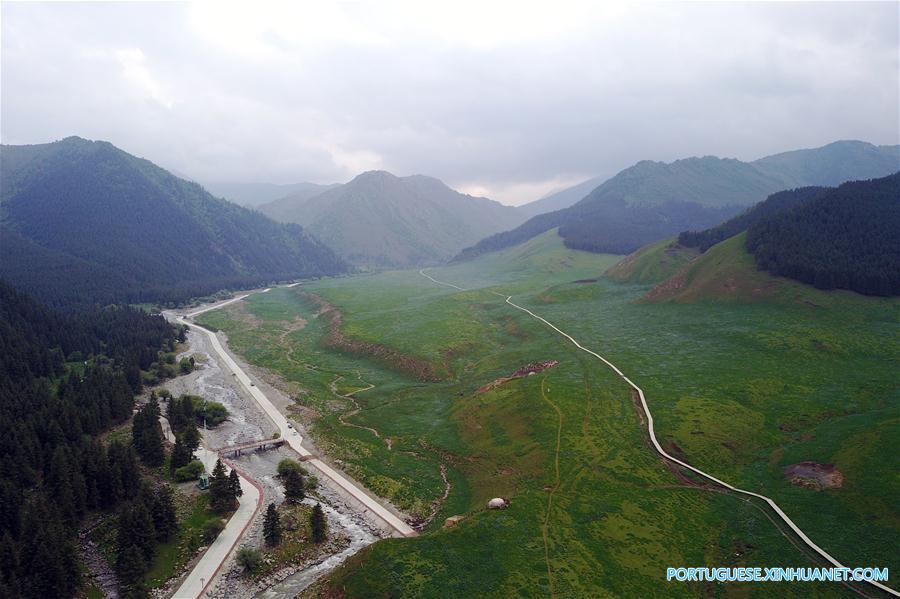 Cenário de ver?o das montanhas Qilian no noroeste da China