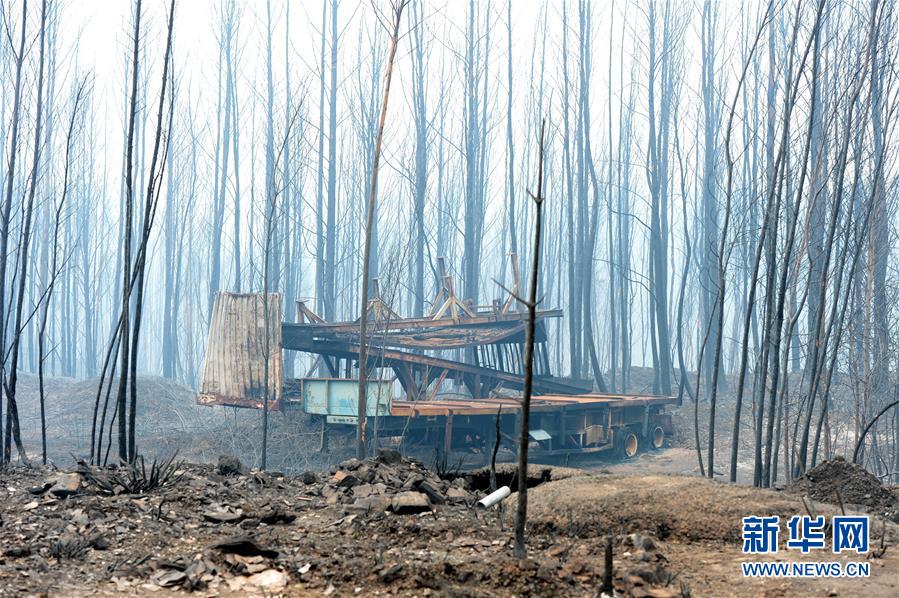 Incêndio florestal em Portugal: últimos números confirmam 64 mortes e 160 feridos