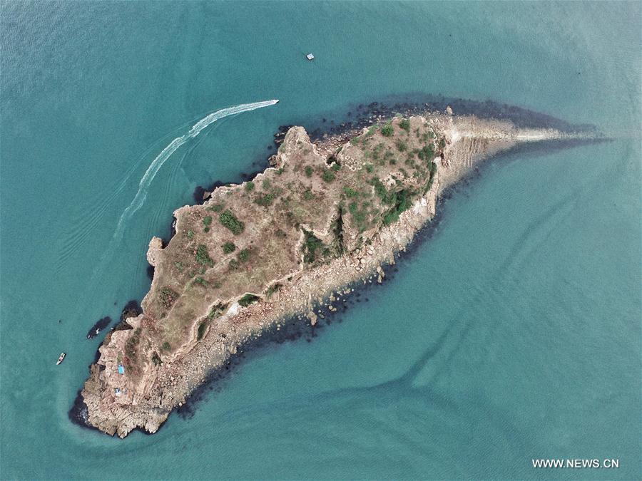 Conhe?a Dalian, a cidade anfitri? do Fórum Davos de Ver?o 2017