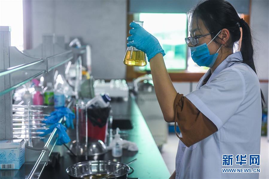 “Vila dos animais de estima??o” estimula o desenvolvimento do município de Pinyang