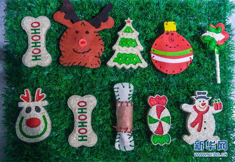 “Vila dos animais de estima??o” estimula o desenvolvimento do município de Pinyang