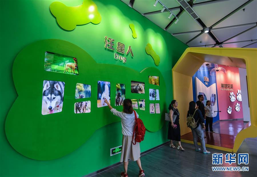 “Vila dos animais de estima??o” estimula o desenvolvimento do município de Pinyang