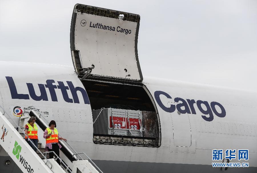 Pandas gigantes chegam a Berlim