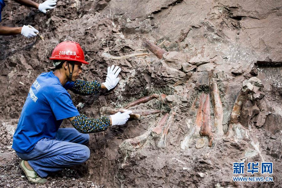 Fósseis de dinossauro descobertos em Chongqing s?o de “importancia mundial”, dizem paleontologistas chineses