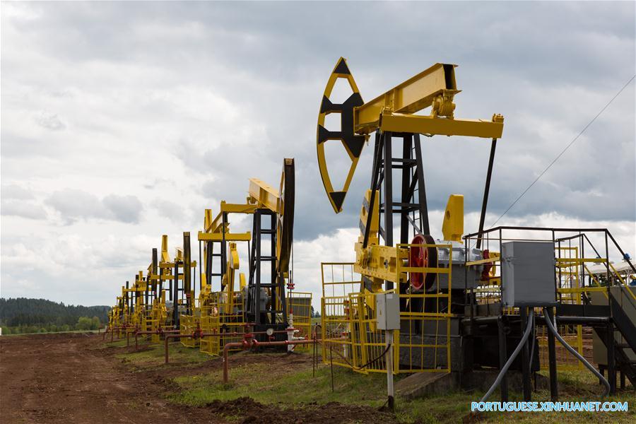 Joint-venture estabelece exemplo de coopera??o China-Rússia no setor de energia