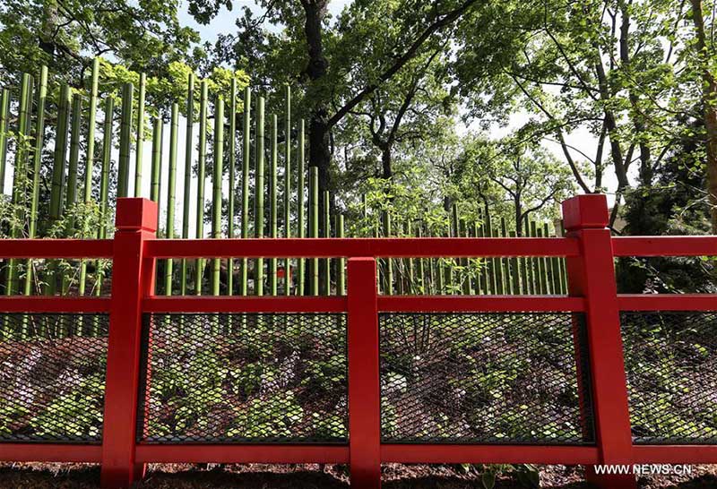 Jardim Zoológico de Berlim realiza cerim?nia de inaugura??o do Jardim do Panda