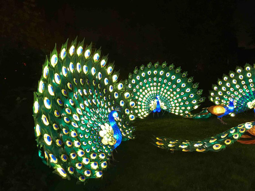 Festival de lanternas chinesas inaugurado em Hamburgo antes da Cúpula do G20