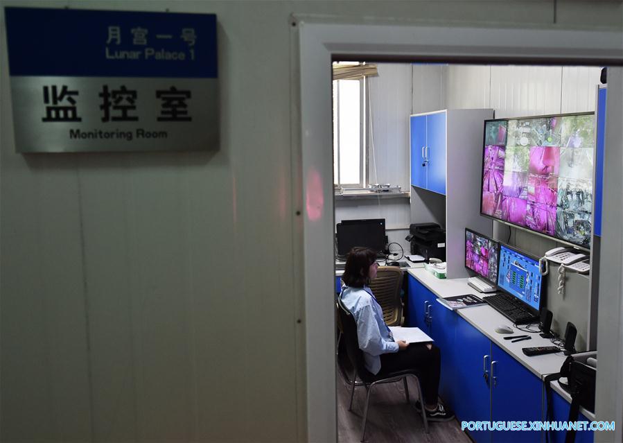 2o grupo voluntário entra na 