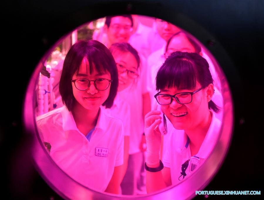 2o grupo voluntário entra na 