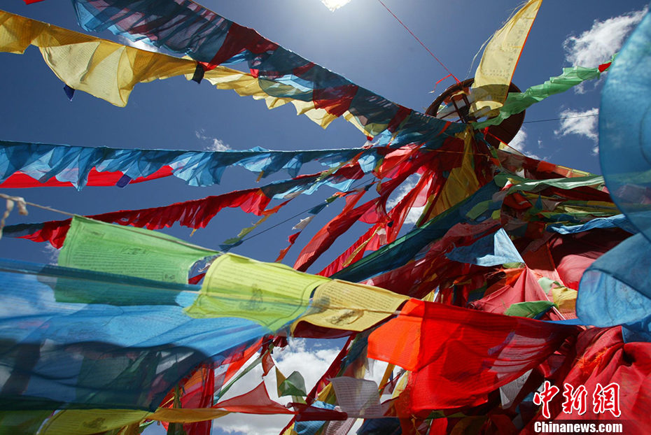 Galeria: Kekexili registrada como patrim?nio natural da humanidade pela UNESCO