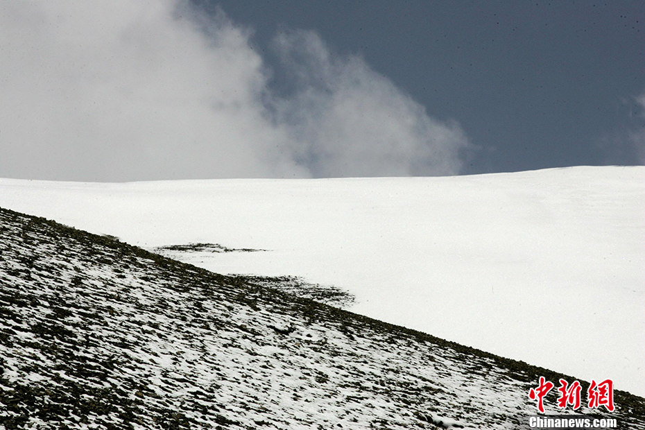 Galeria: Kekexili registrada como patrim?nio natural da humanidade pela UNESCO