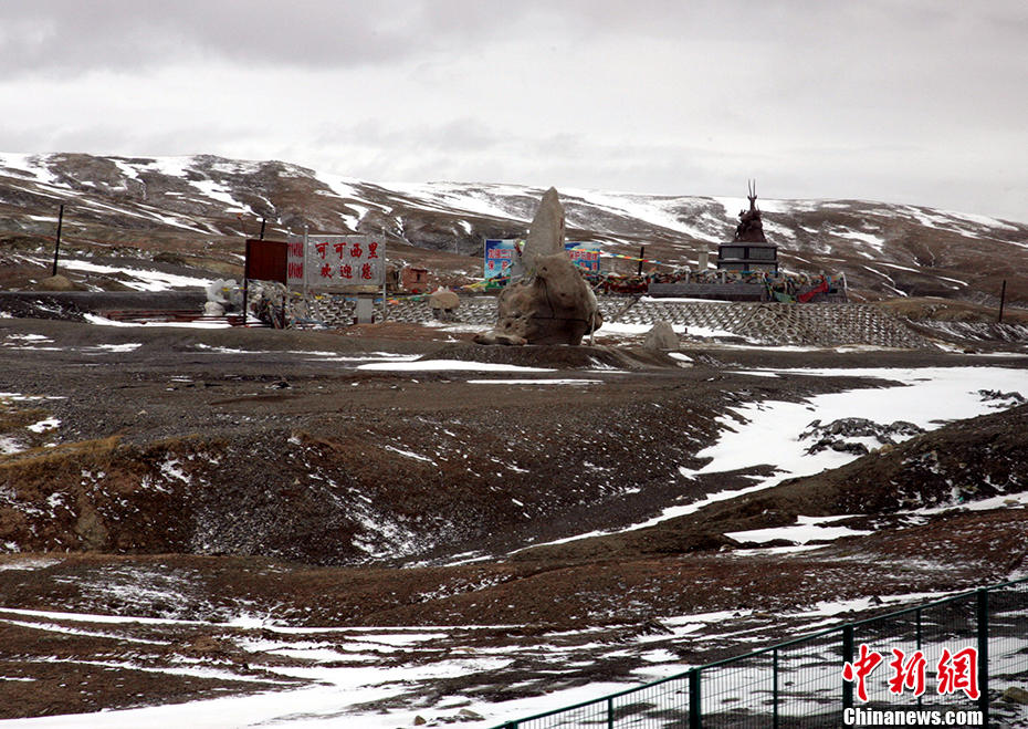 Galeria: Kekexili registrada como patrim?nio natural da humanidade pela UNESCO