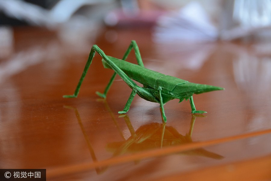 Criatividade garante lugar no Instituto de Tecnologia de Harbin a aluno com nota de admiss?o insuficiente