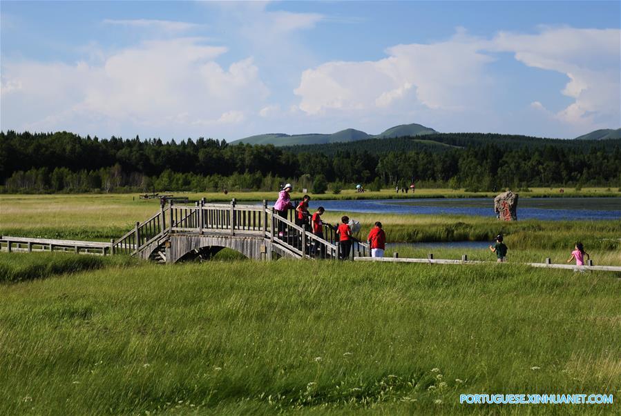 Turistas aproveitam paisagem do Parque Florestal Nacional de Saihanba, no norte da China