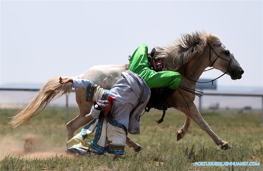 Esfor?os para proteger cultura de cria??o de cavalos na Mongólia Interior