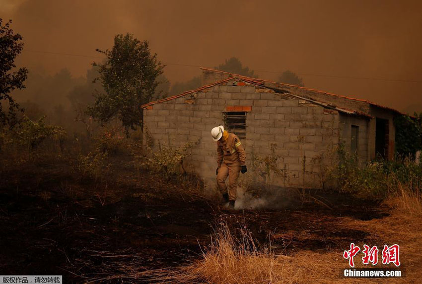 Norte e centro de Portugal novamente assolados pelas chamas