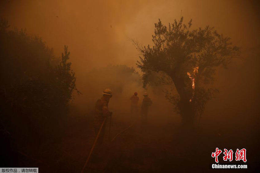 Norte e centro de Portugal novamente assolados pelas chamas