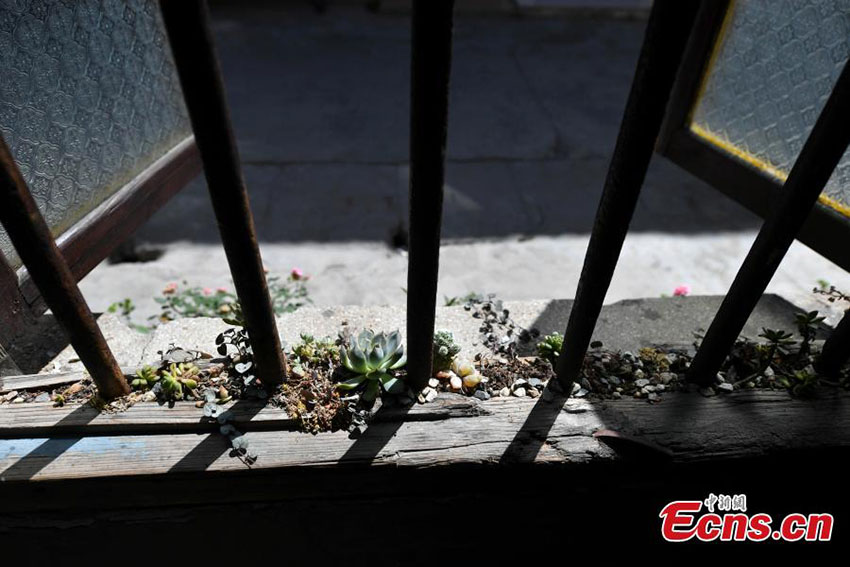 Empresário cria “espa?o compartilhado” em Xiamen