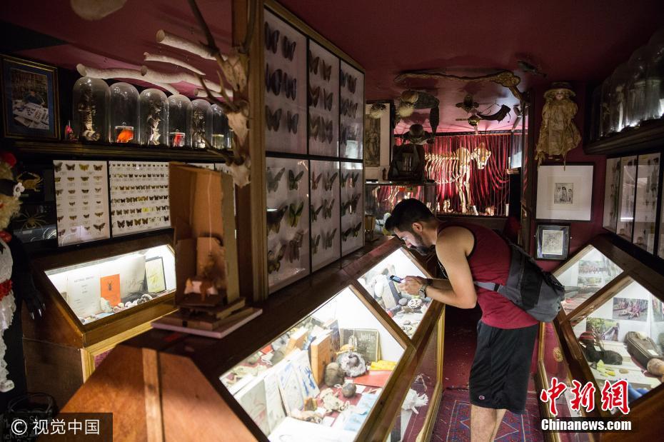 Museu britanico exp?e cole??o de excrementos de celebridades