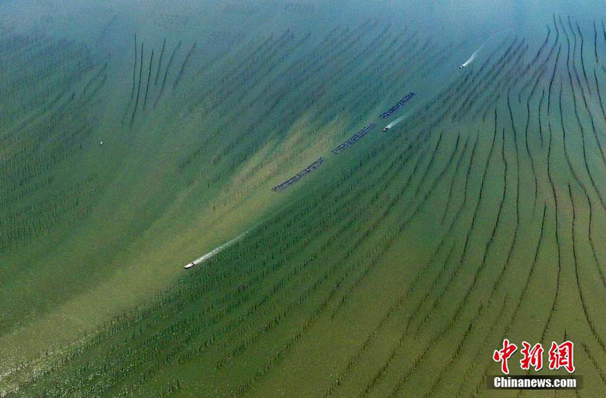 Galeria: Paisagem aérea do loda?al de Xiapu, na província de Fujian