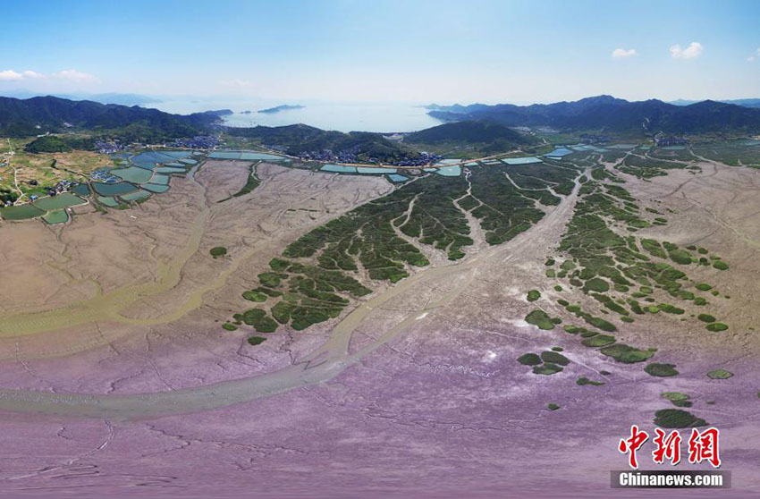 Galeria: Paisagem aérea do loda?al de Xiapu, na província de Fujian