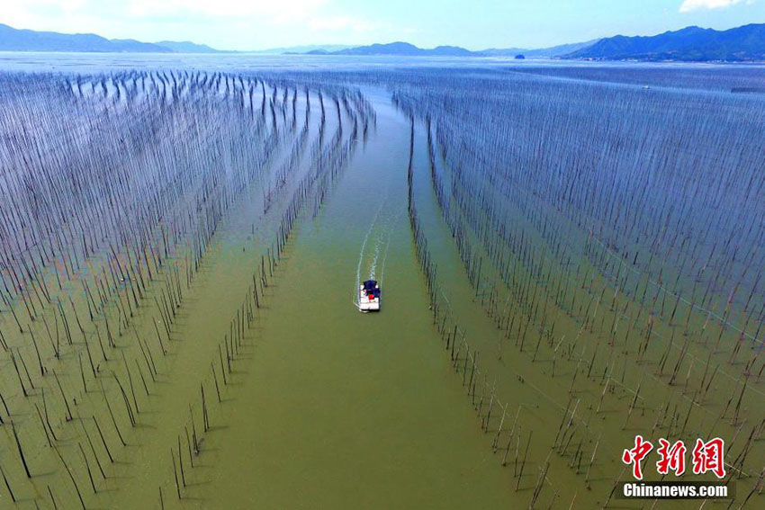 Galeria: Paisagem aérea do loda?al de Xiapu, na província de Fujian