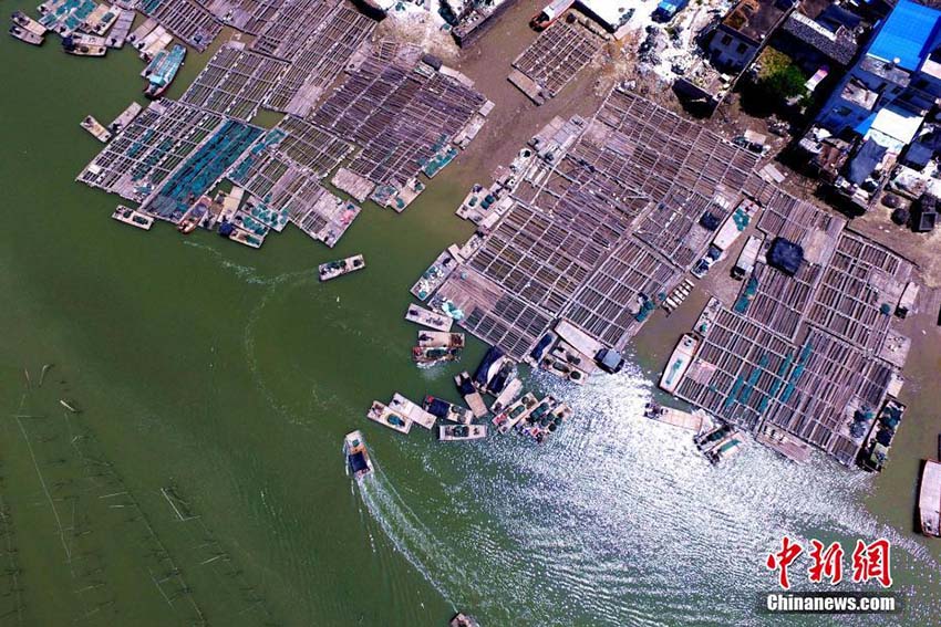 Galeria: Paisagem aérea do loda?al de Xiapu, na província de Fujian