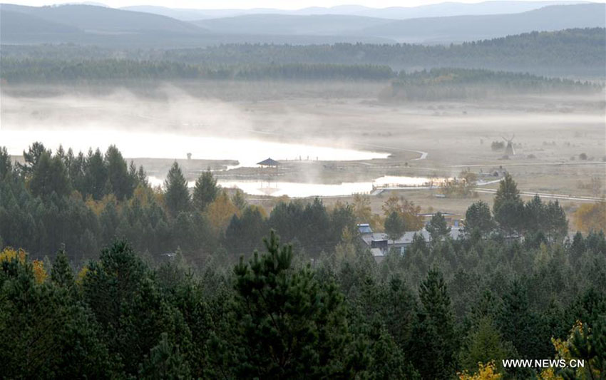 Galeria: Paisagem de Saihanba no norte da China