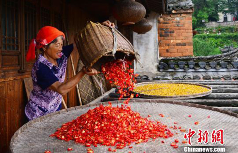 Galeria: “Seca outonal” em Jiangxi