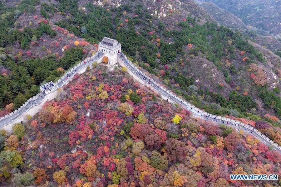 Símbolos únicos dos países do BRICS