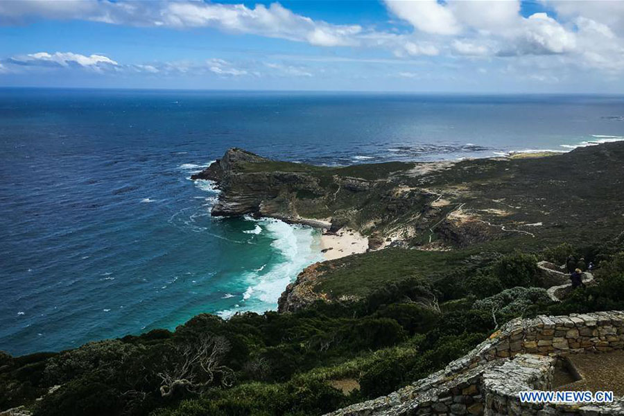 Símbolos únicos dos países do BRICS