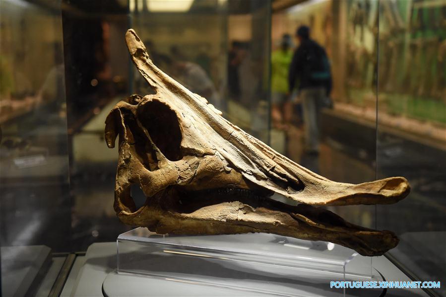 Em imagens: Parque Geológico Nacional de Dinossauros no nordeste da China