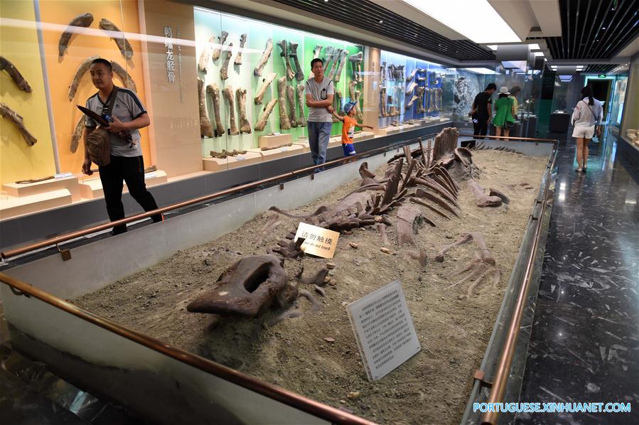 Em imagens: Parque Geológico Nacional de Dinossauros no nordeste da China