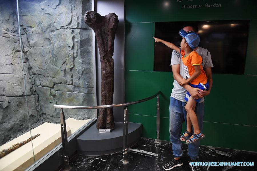 Em imagens: Parque Geológico Nacional de Dinossauros no nordeste da China