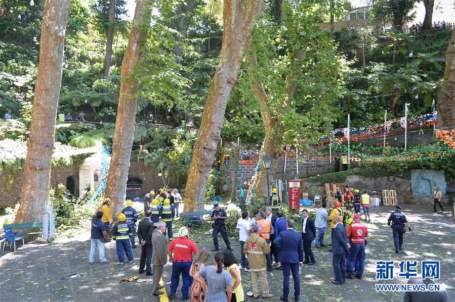 Queda de árvore mata 13 na Ilha da Madeira