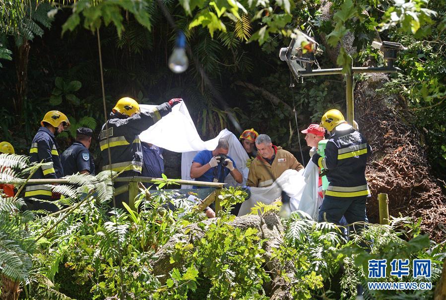 Queda de árvore mata 13 na Ilha da Madeira
