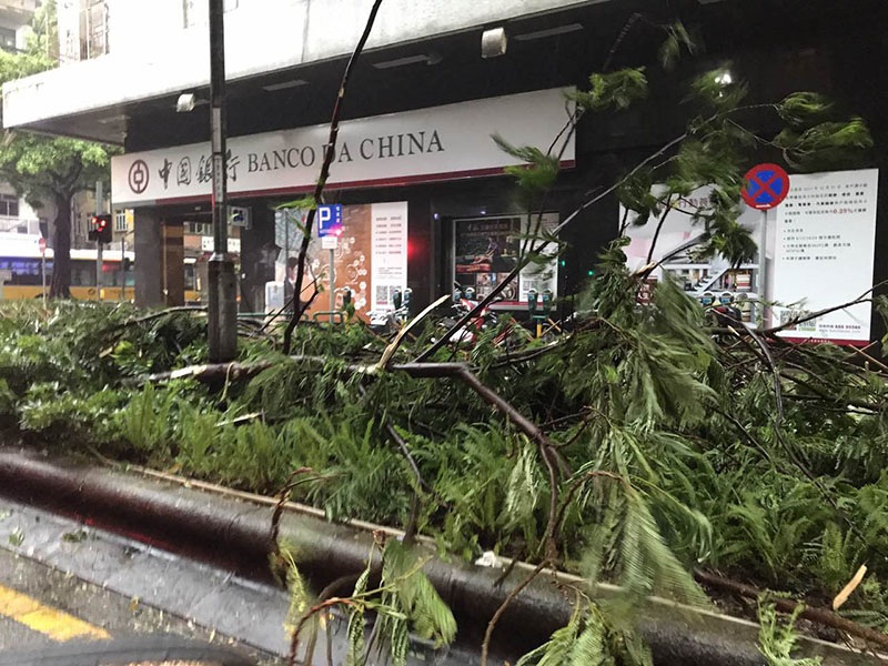 Macau decreta alerta máximo face à chegada do tuf?o Hato