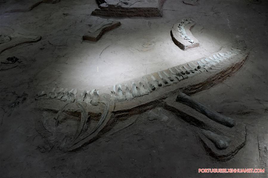 Parque de reliquias de dinossauro em Henan