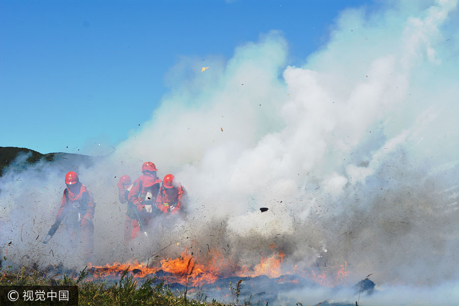 Mongólia Interior realiza exercício de preven??o contra incêndios florestais