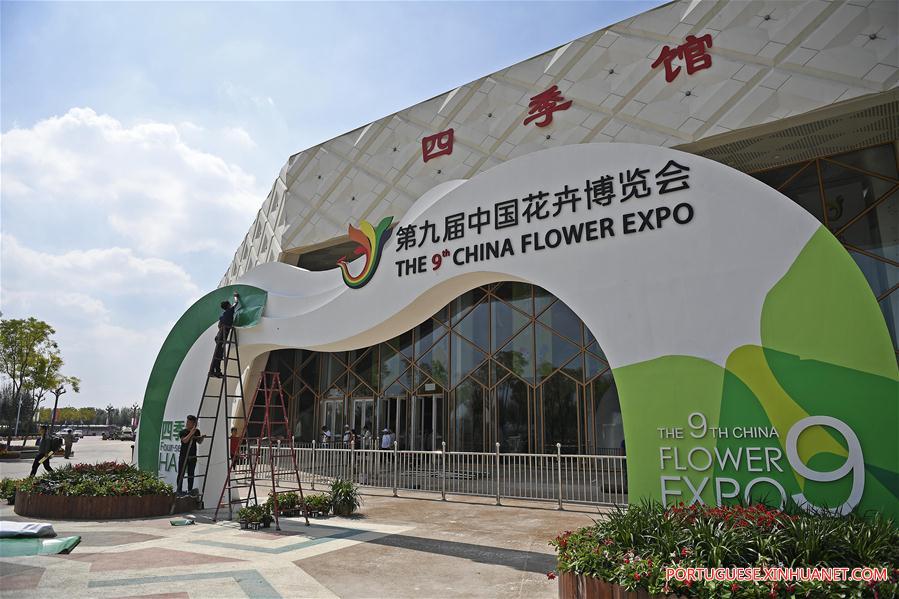 9a Expo Flower da China em Yinchuan