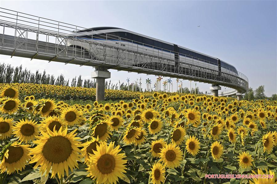 9a Expo Flower da China em Yinchuan