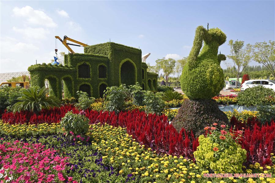 9a Expo Flower da China em Yinchuan