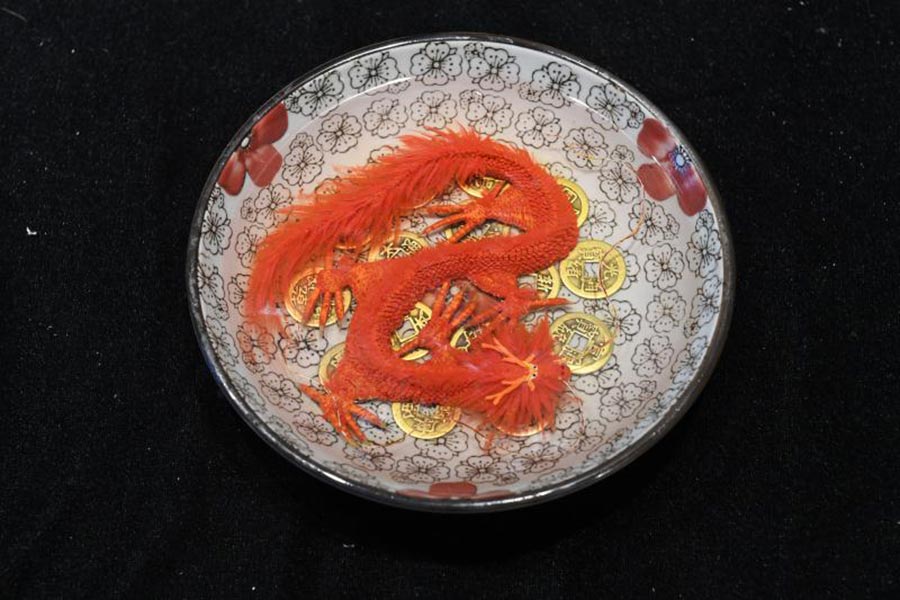 Artista chinês autodidata cria pinturas em resina