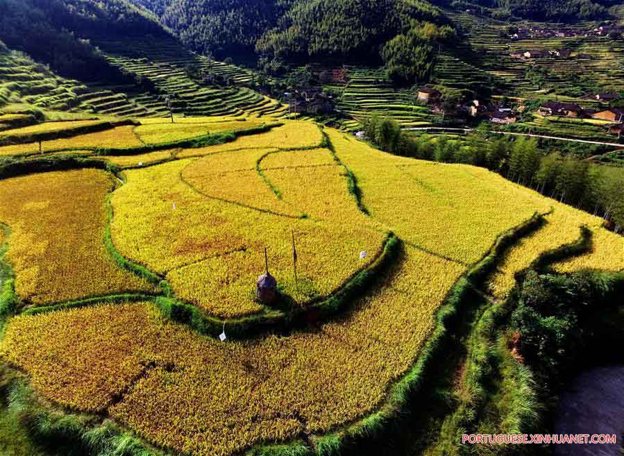 Paisagem de terra?os em Fujian, no sudeste da China