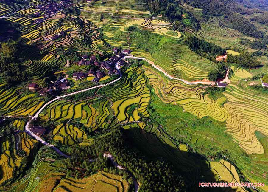 Paisagem de terra?os em Fujian, no sudeste da China