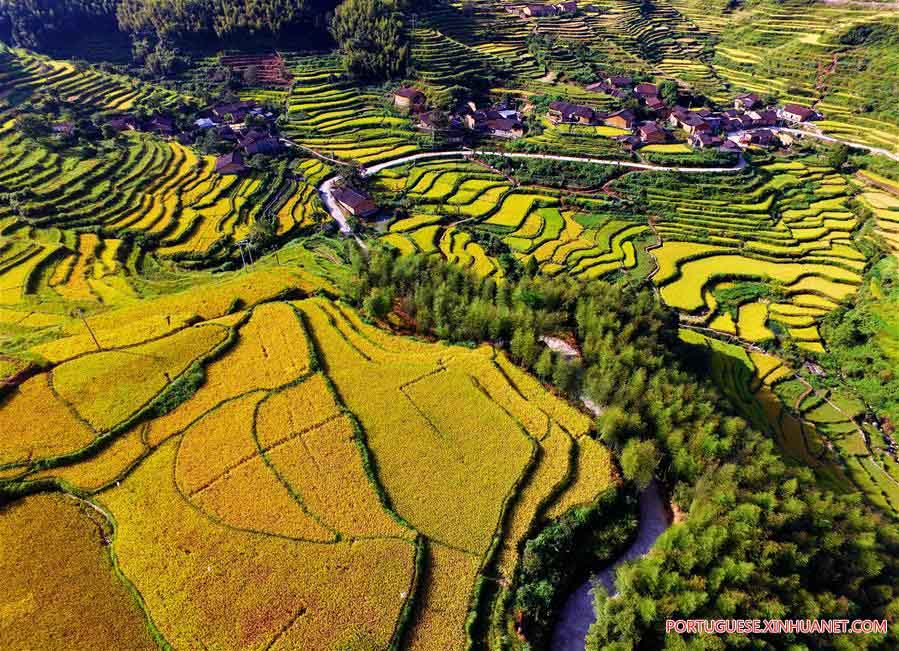 Paisagem de terra?os em Fujian, no sudeste da China
