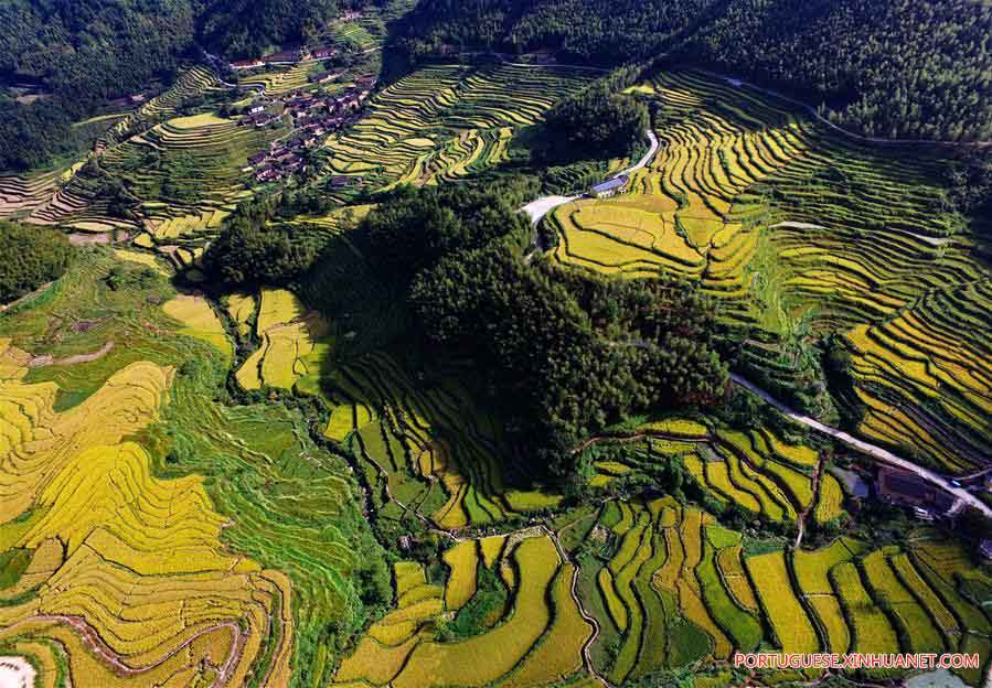 Paisagem de terra?os em Fujian, no sudeste da China