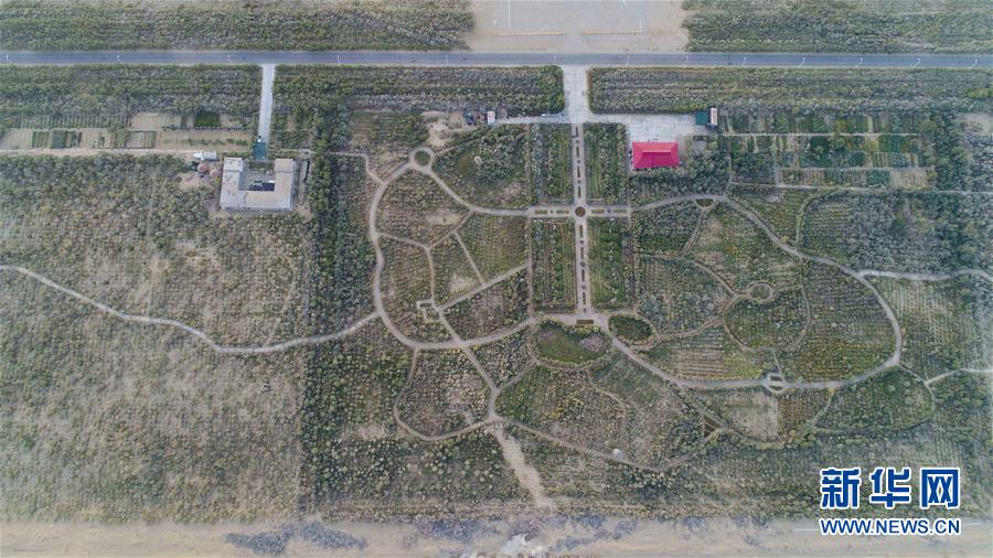 Desertifica??o na Bacia de Tarim controlada com sucesso