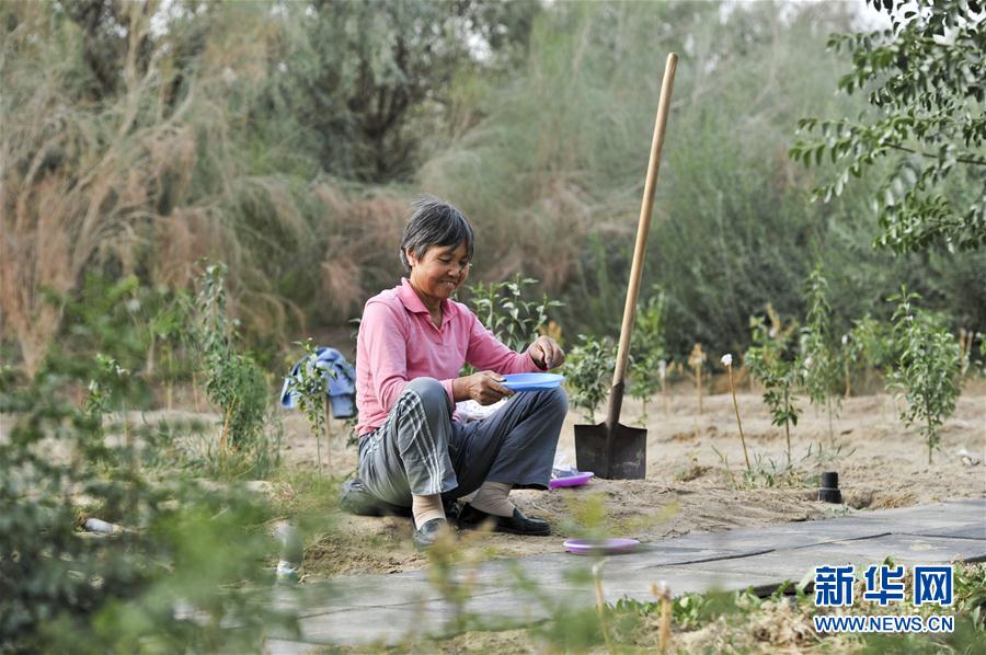 Desertifica??o na Bacia de Tarim controlada com sucesso
