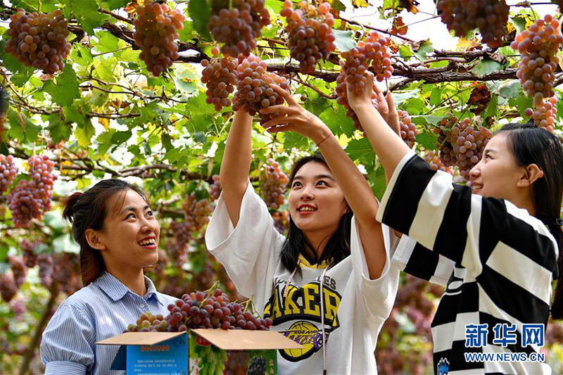 Chineses em todo o país celebram o 68° aniversário da República